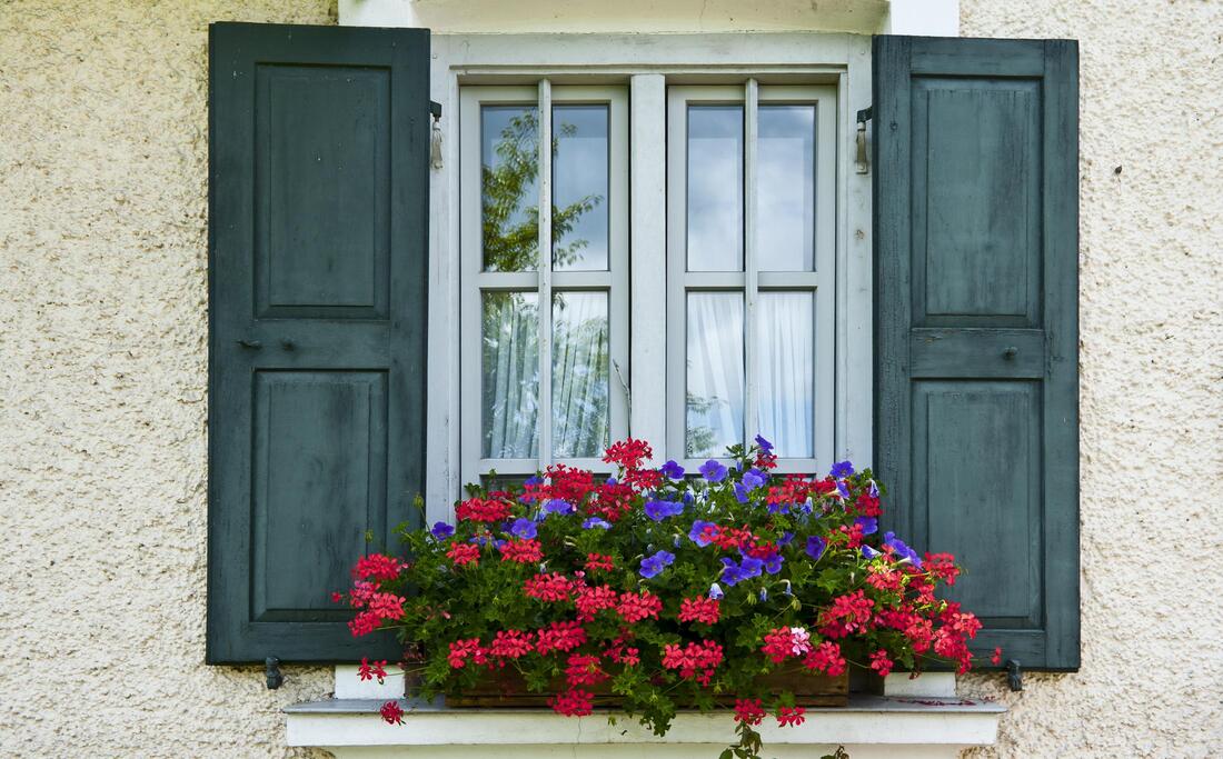 Picture of a tinted home window with flowers
